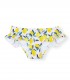MINI LEMONADE BOTTOM