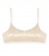 GOLD TOP BASIC